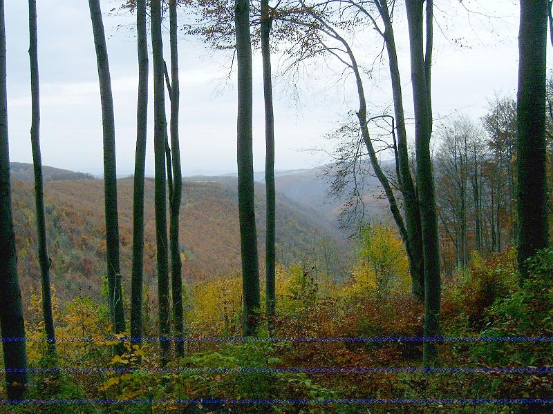20101023 066.jpg